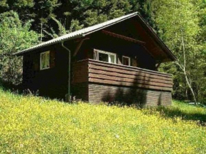 Ferienhaus Arthurhütte in Hohenweiler